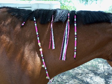 Mane Clips Examples